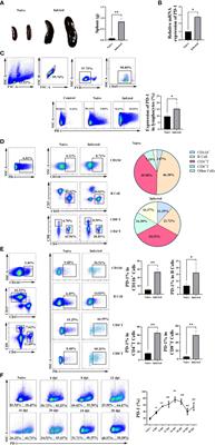 PD-1+ CD4 T cell immune response is mediated by HIF-1α/NFATc1 pathway after P. yoelii infection